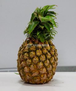 2-3lbs Pineapple/2-3 lbs Ananas