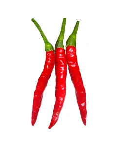 Hot Thai Pepper / LB