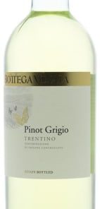 BOTTEGA VINAIA PINOT GRIGIO – TRENTINO